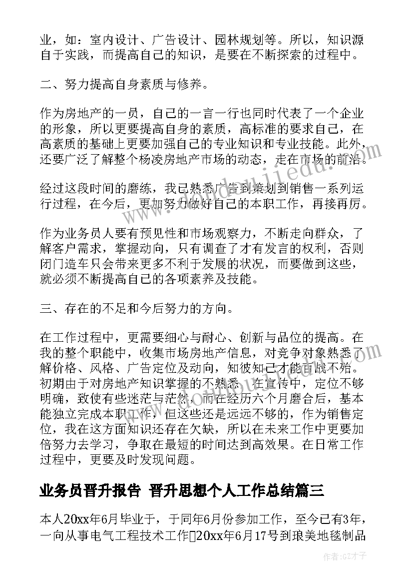 业务员晋升报告 晋升思想个人工作总结(通用5篇)