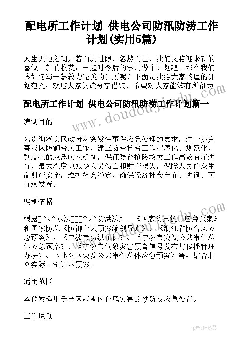 配电所工作计划 供电公司防汛防涝工作计划(实用5篇)