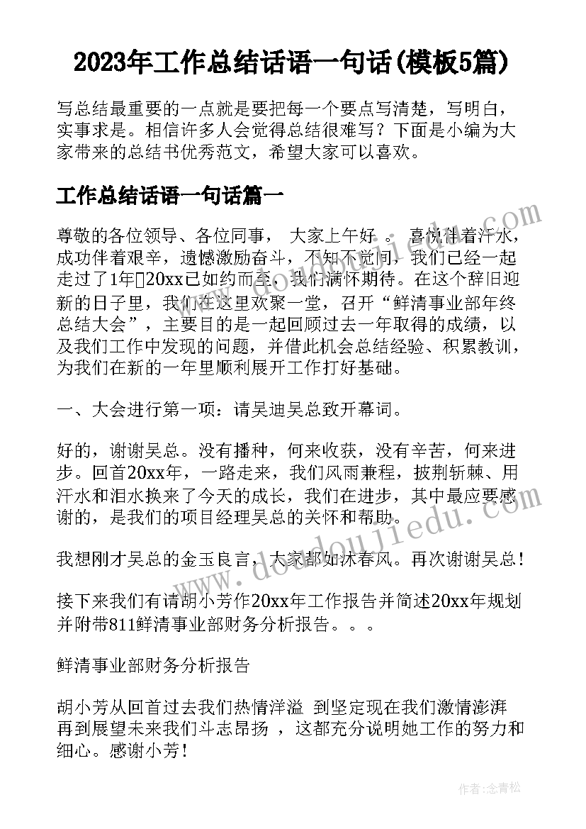 2023年工作总结话语一句话(模板5篇)