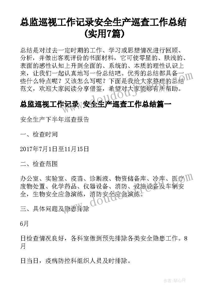 总监巡视工作记录 安全生产巡查工作总结(实用7篇)