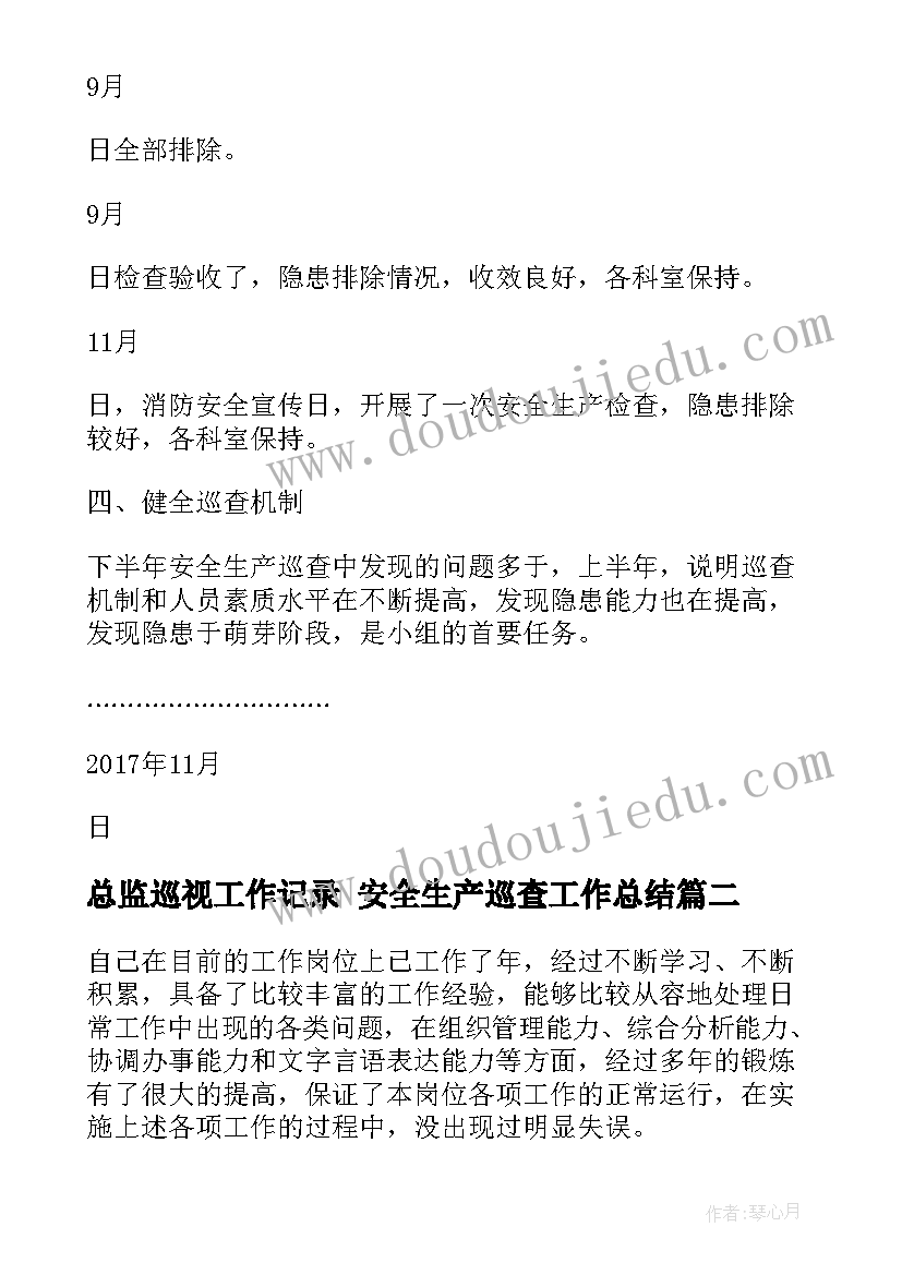 总监巡视工作记录 安全生产巡查工作总结(实用7篇)