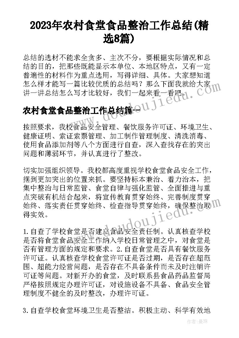 2023年农村食堂食品整治工作总结(精选8篇)