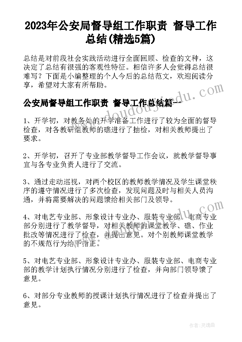 2023年公安局督导组工作职责 督导工作总结(精选5篇)