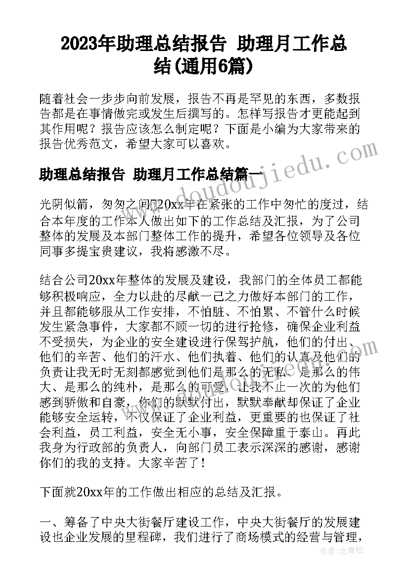 2023年助理总结报告 助理月工作总结(通用6篇)