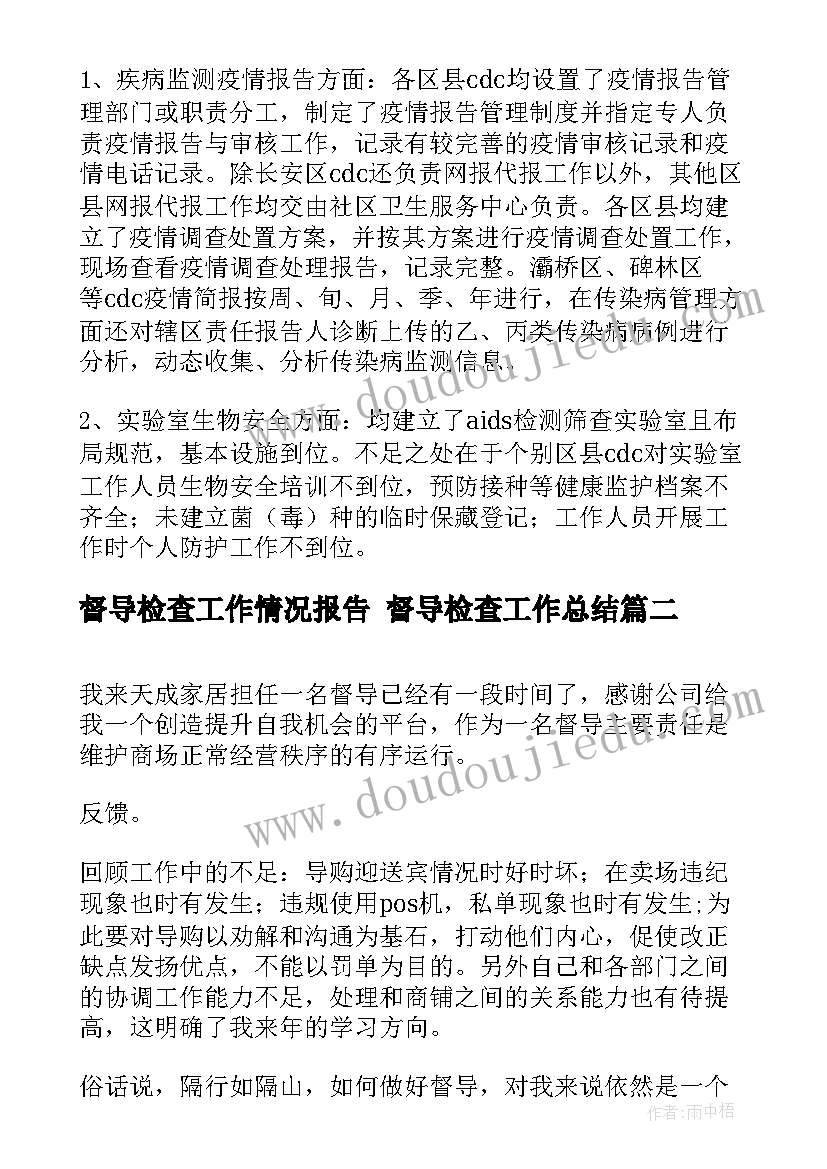 2023年督导检查工作情况报告 督导检查工作总结(优质5篇)