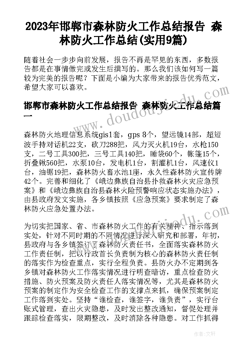 2023年邯郸市森林防火工作总结报告 森林防火工作总结(实用9篇)