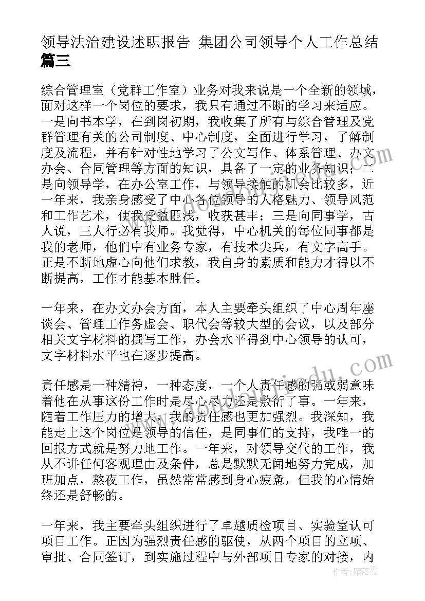 领导法治建设述职报告 集团公司领导个人工作总结(实用5篇)