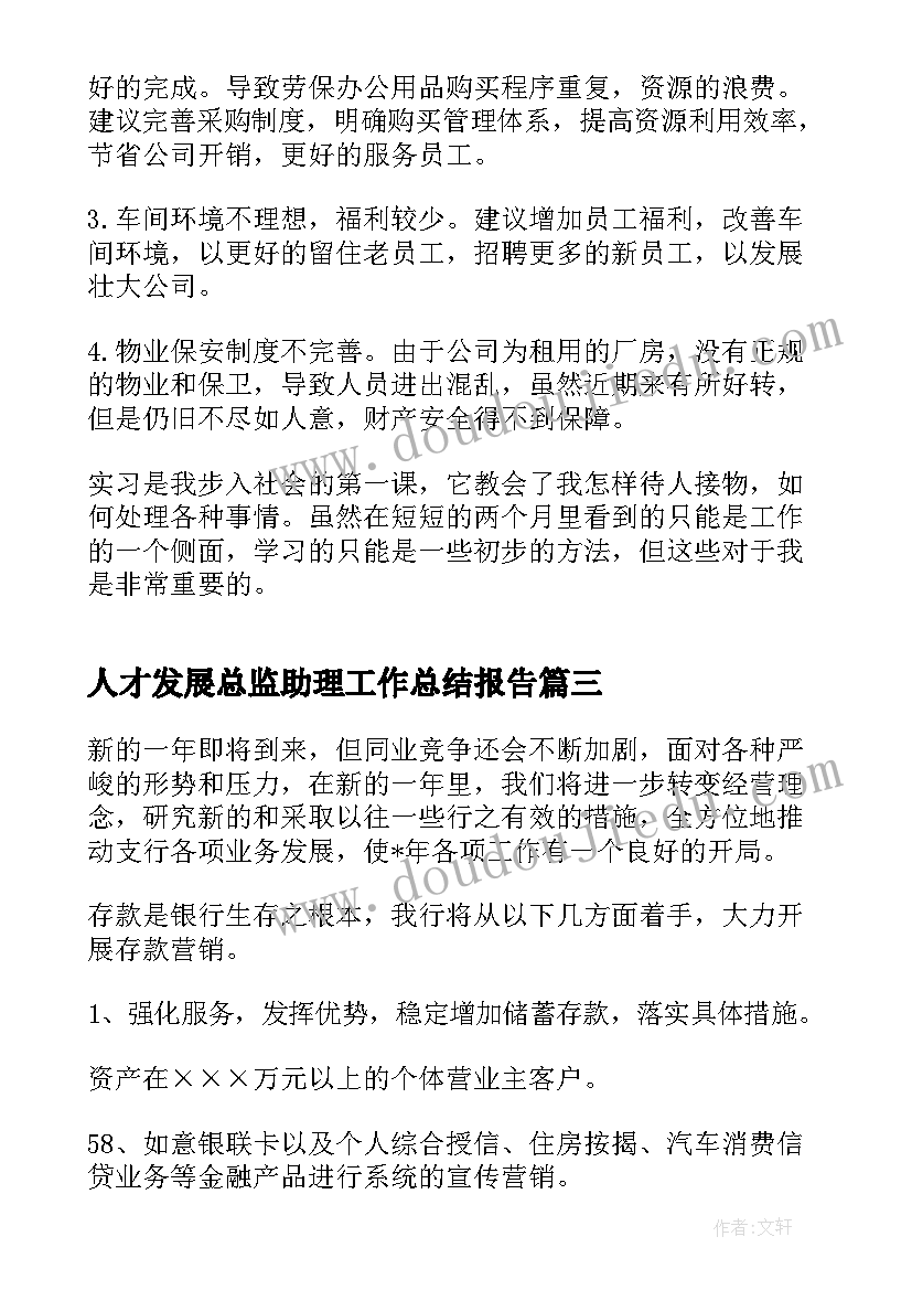 最新人才发展总监助理工作总结报告(优秀5篇)