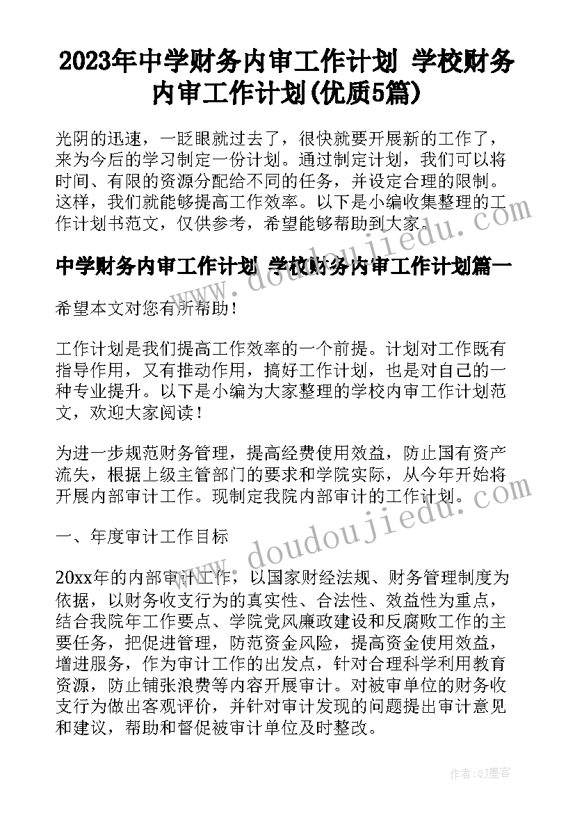 2023年中学财务内审工作计划 学校财务内审工作计划(优质5篇)