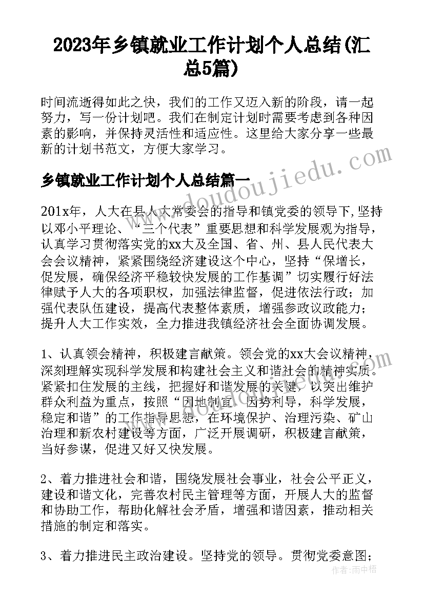 2023年乡镇就业工作计划个人总结(汇总5篇)