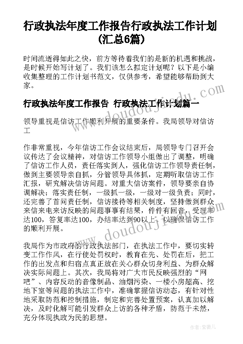 行政执法年度工作报告 行政执法工作计划(汇总6篇)