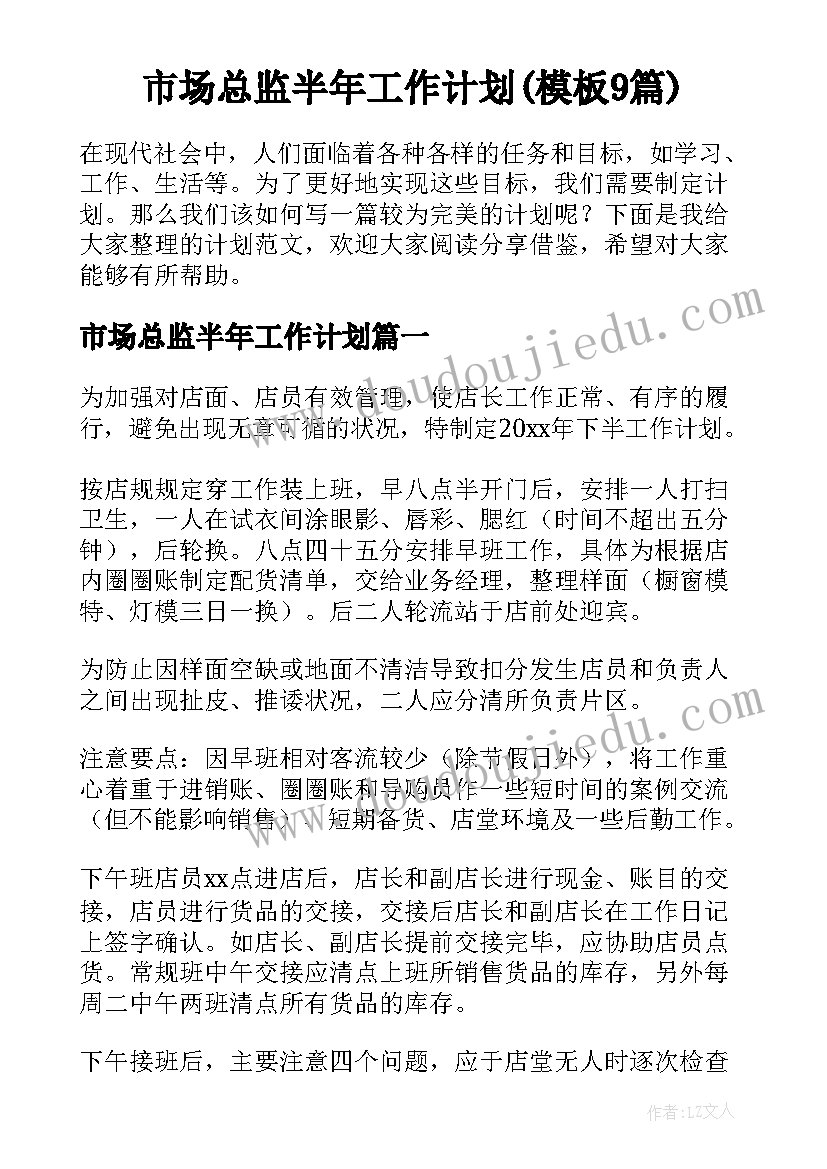 市场总监半年工作计划(模板9篇)