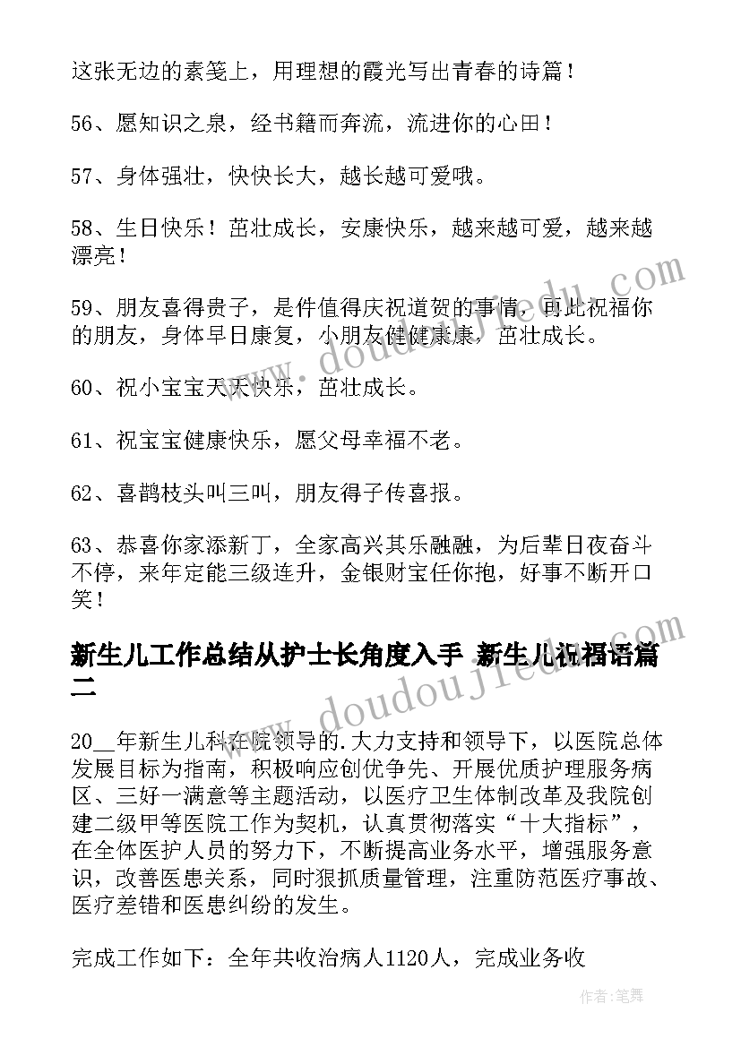 2023年新生儿工作总结从护士长角度入手 新生儿祝福语(通用10篇)