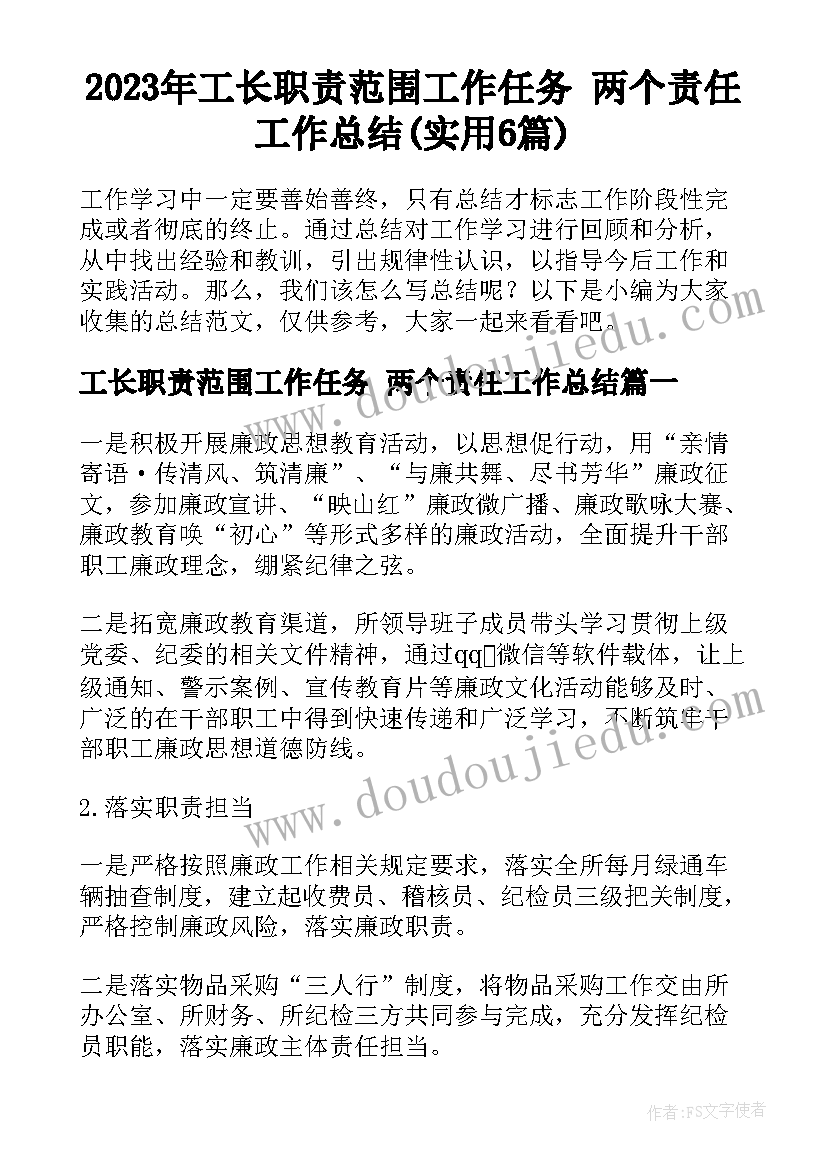 2023年工长职责范围工作任务 两个责任工作总结(实用6篇)