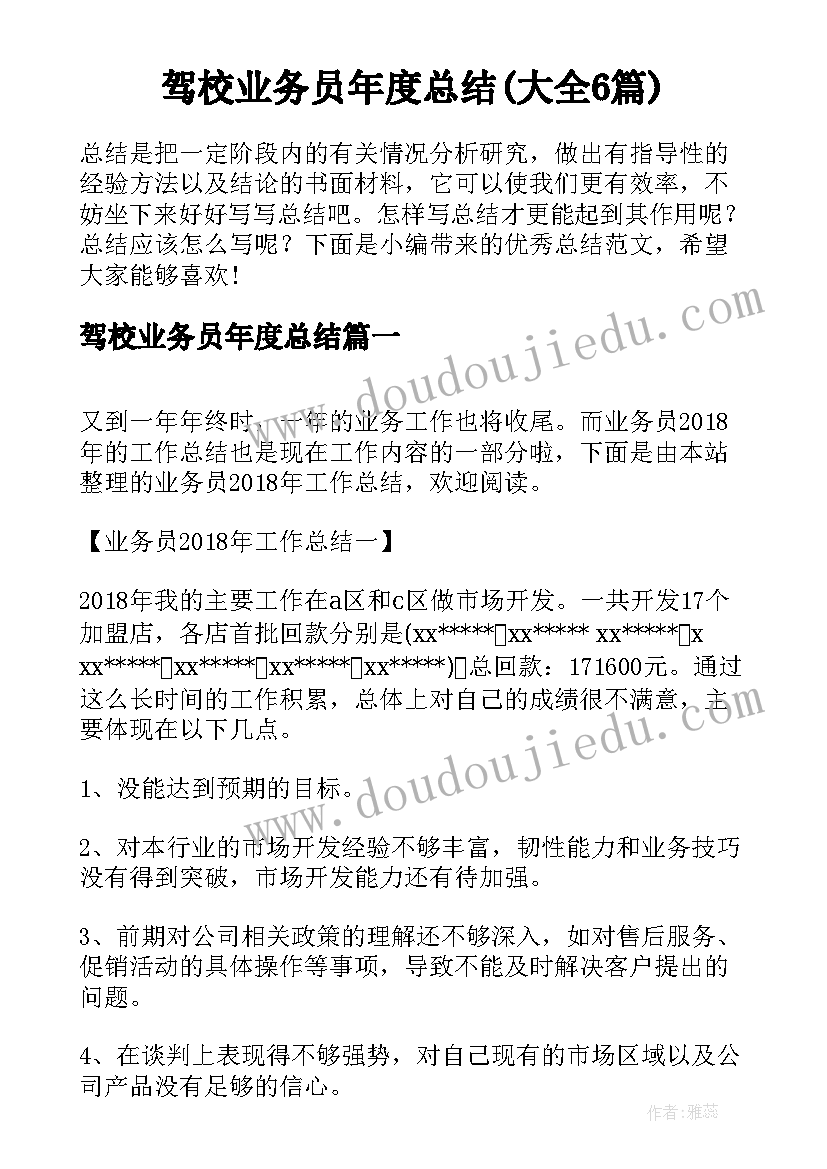 驾校业务员年度总结(大全6篇)