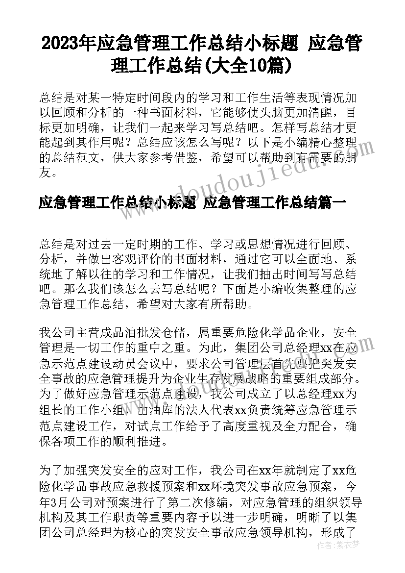 2023年应急管理工作总结小标题 应急管理工作总结(大全10篇)