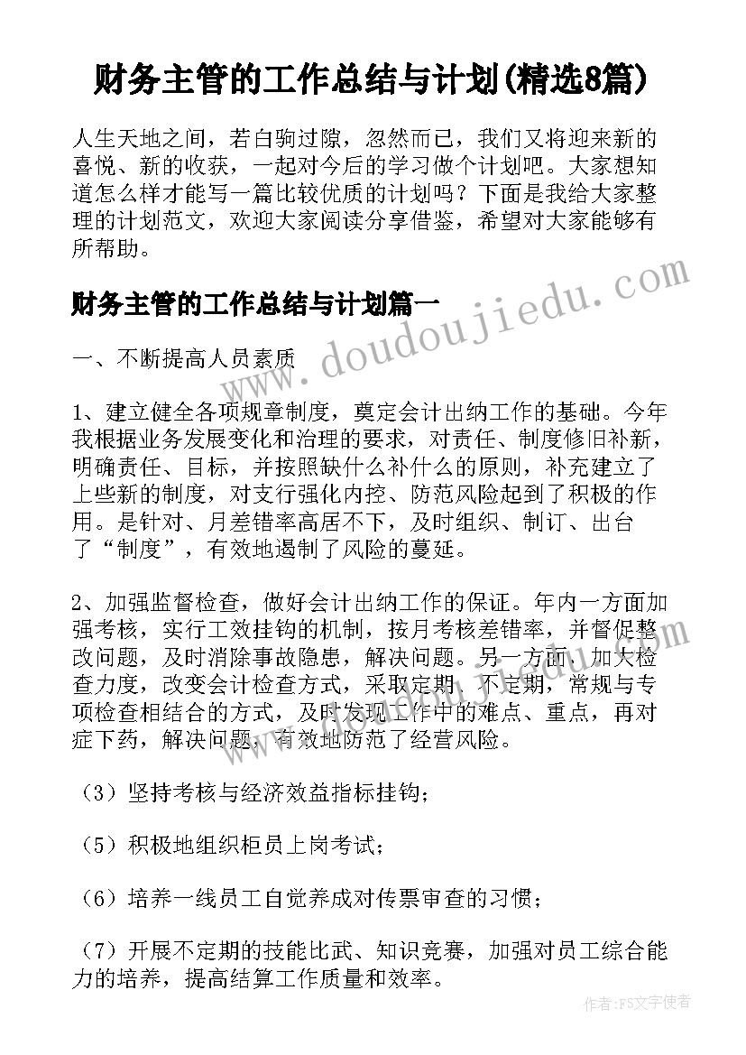 财务主管的工作总结与计划(精选8篇)