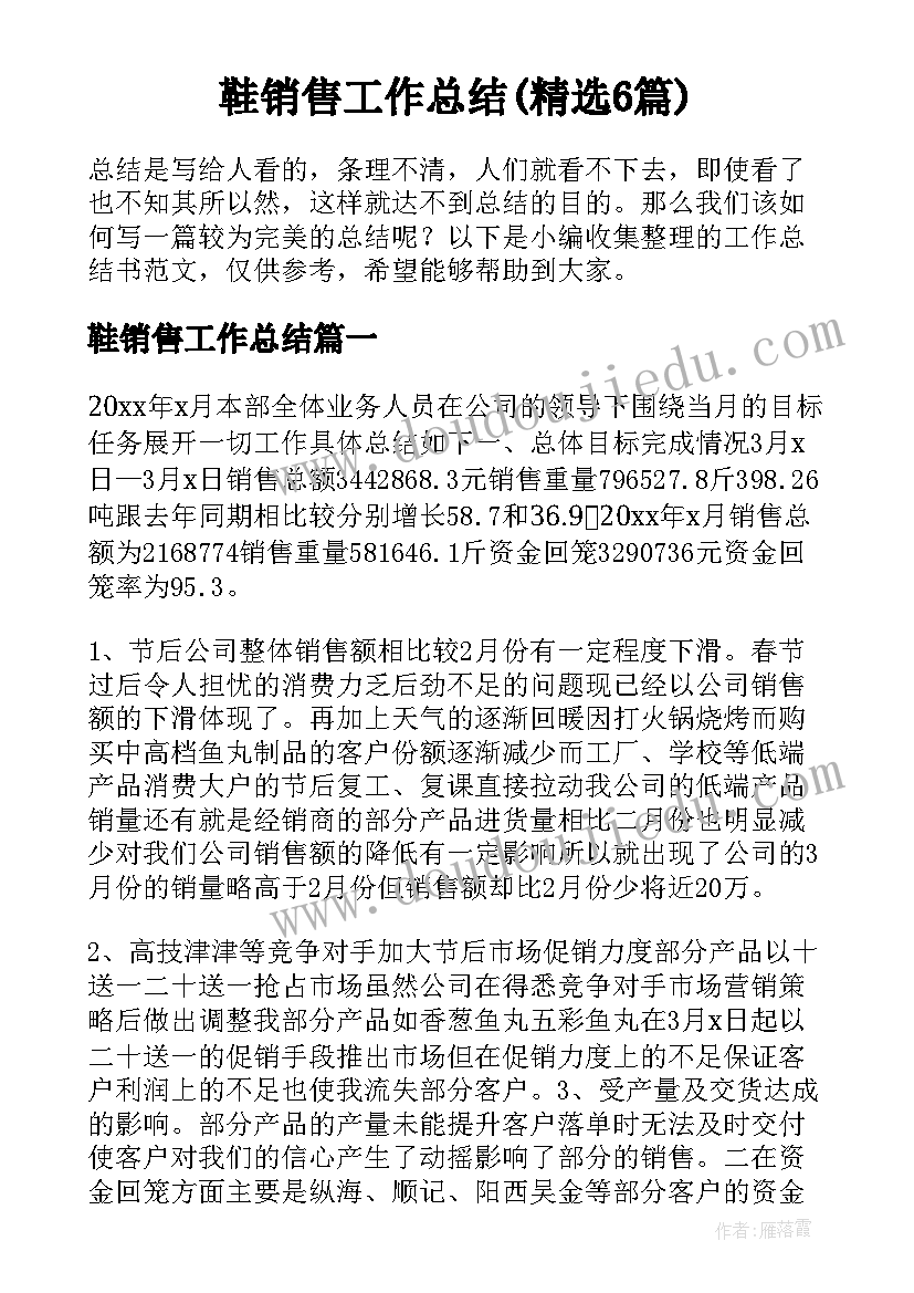 鞋销售工作总结(精选6篇)