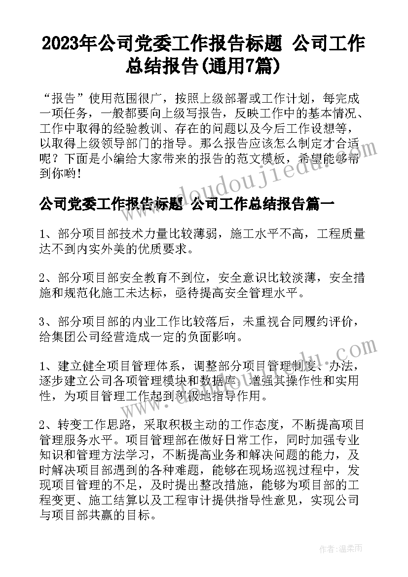 2023年公司党委工作报告标题 公司工作总结报告(通用7篇)