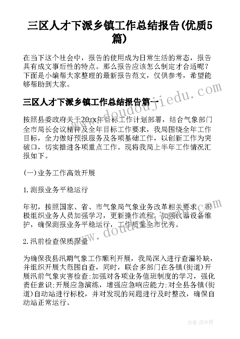 三区人才下派乡镇工作总结报告(优质5篇)