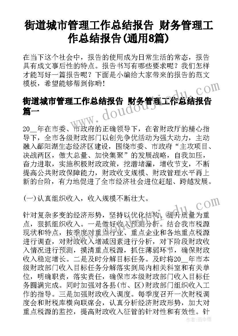 街道城市管理工作总结报告 财务管理工作总结报告(通用8篇)