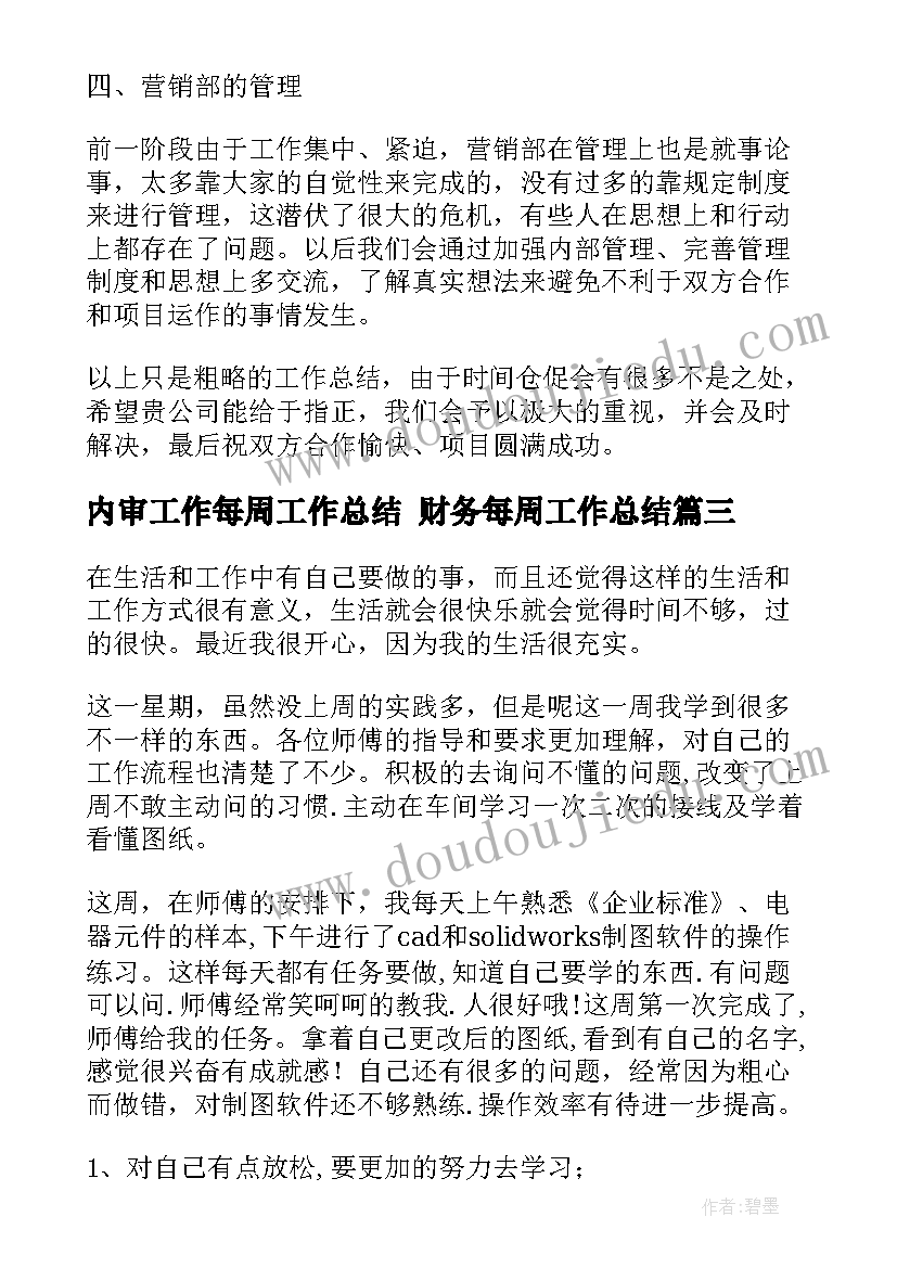 2023年内审工作每周工作总结 财务每周工作总结(通用10篇)