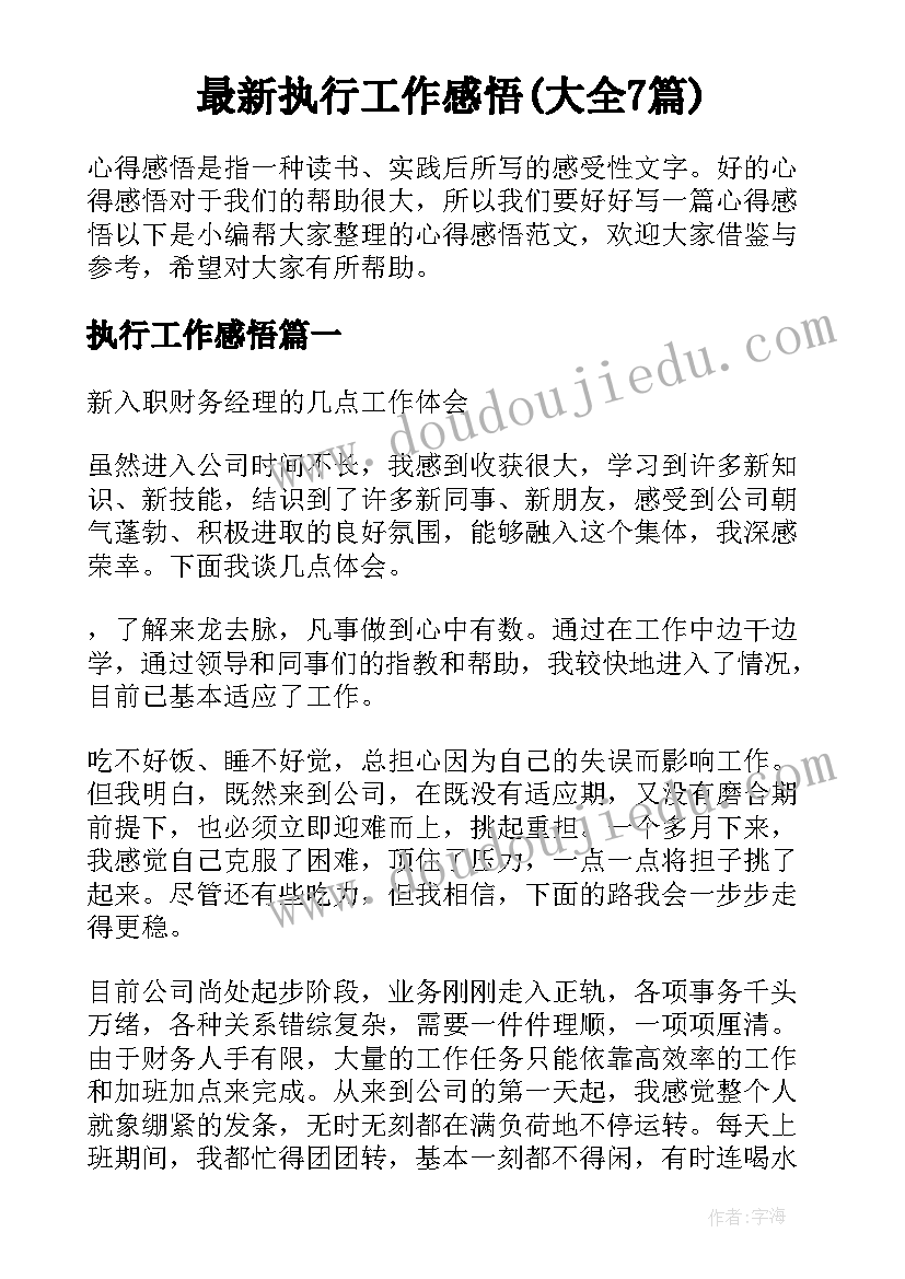 最新执行工作感悟(大全7篇)