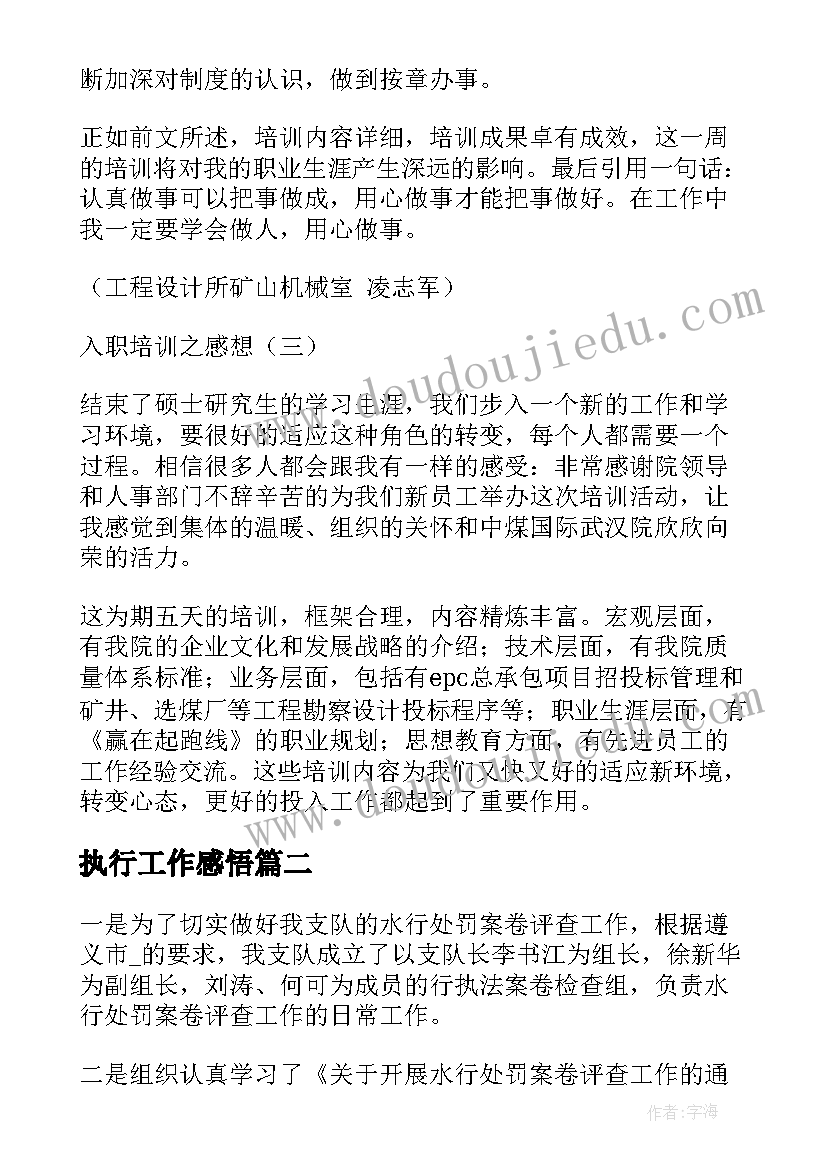 最新执行工作感悟(大全7篇)