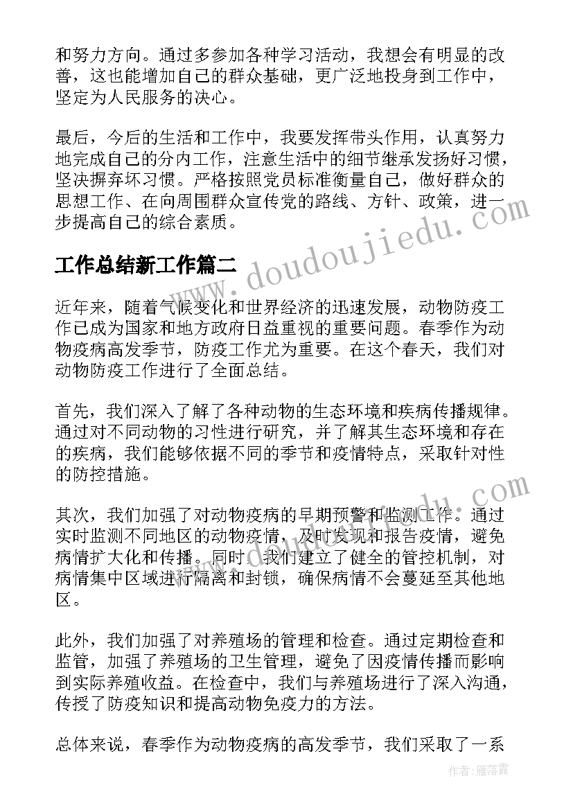 最新工作总结新工作(精选5篇)