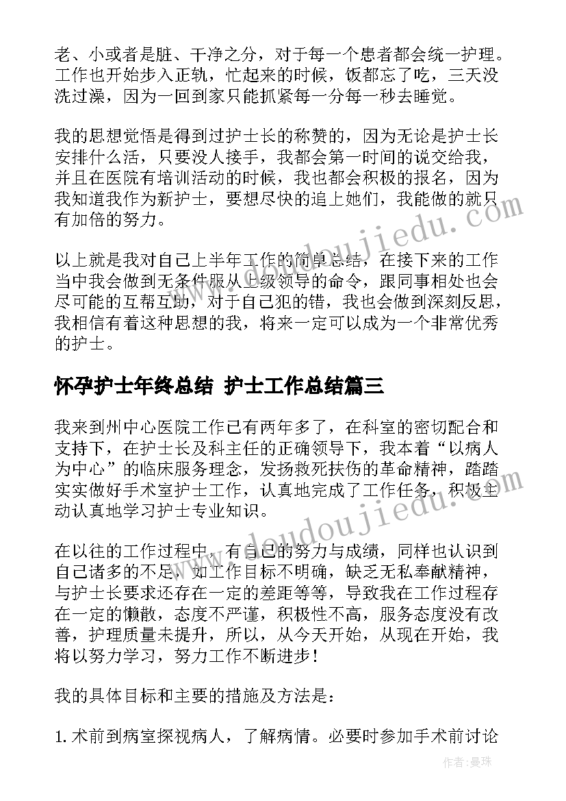 2023年怀孕护士年终总结 护士工作总结(精选8篇)