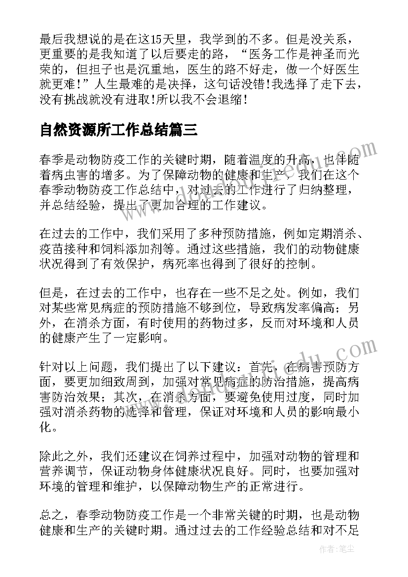 2023年自然资源所工作总结(汇总10篇)