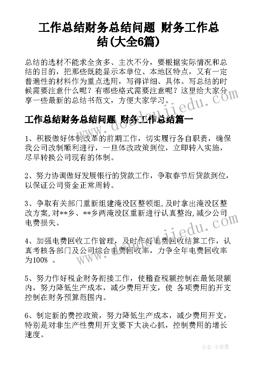 工作总结财务总结问题 财务工作总结(大全6篇)