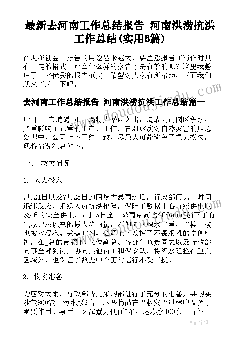 最新去河南工作总结报告 河南洪涝抗洪工作总结(实用6篇)