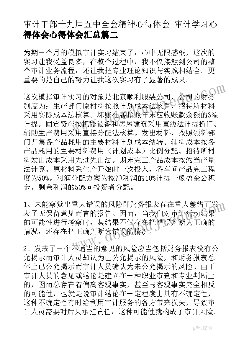 审计干部十九届五中全会精神心得体会 审计学习心得体会心得体会(优秀5篇)