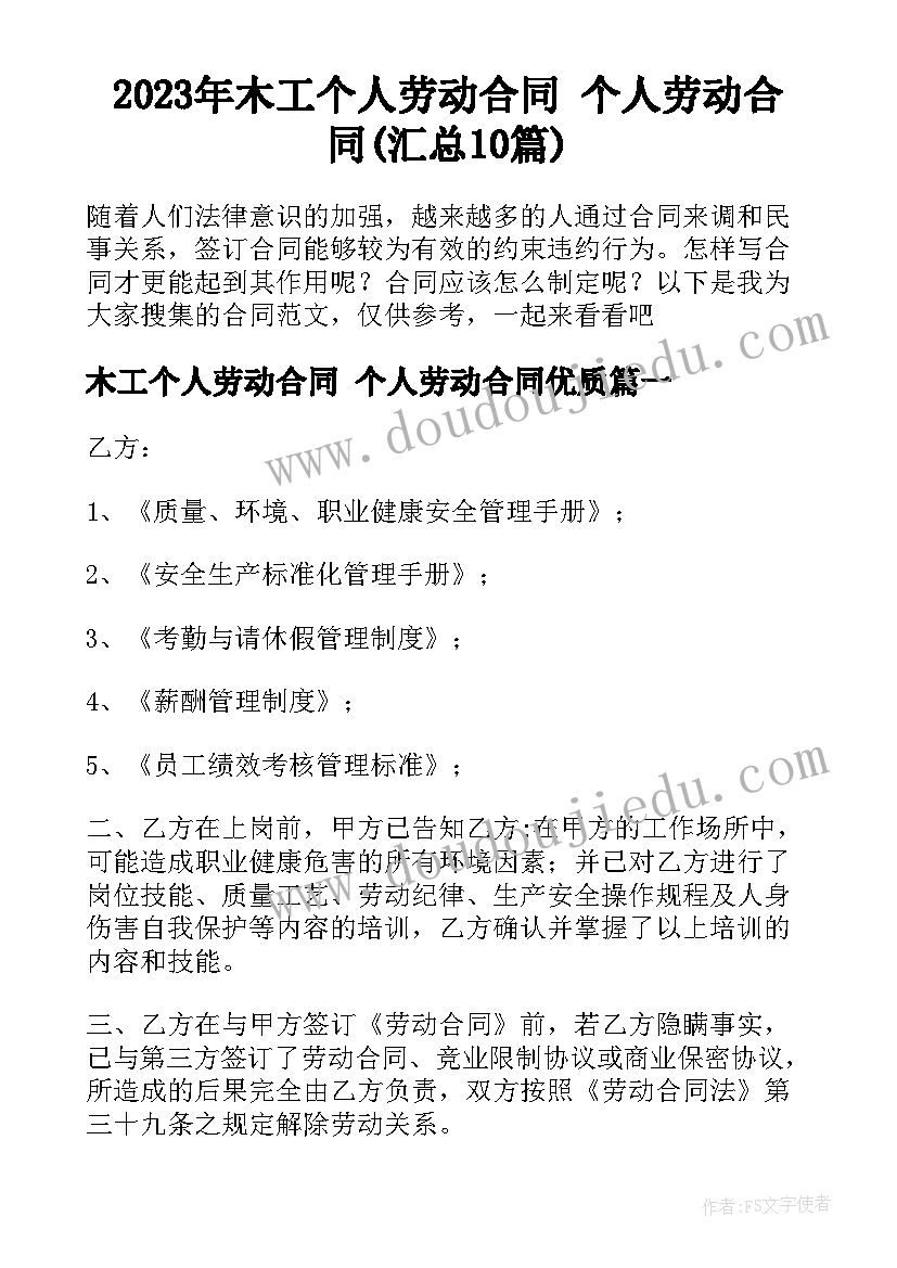 2023年木工个人劳动合同 个人劳动合同(汇总10篇)