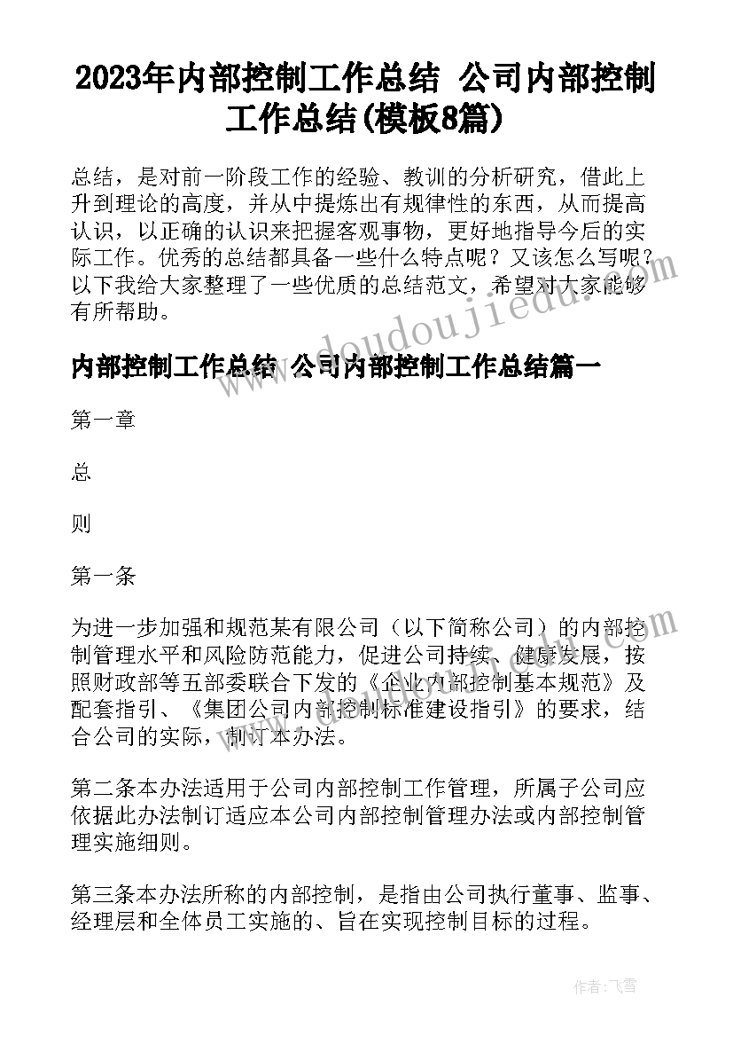 2023年内部控制工作总结 公司内部控制工作总结(模板8篇)