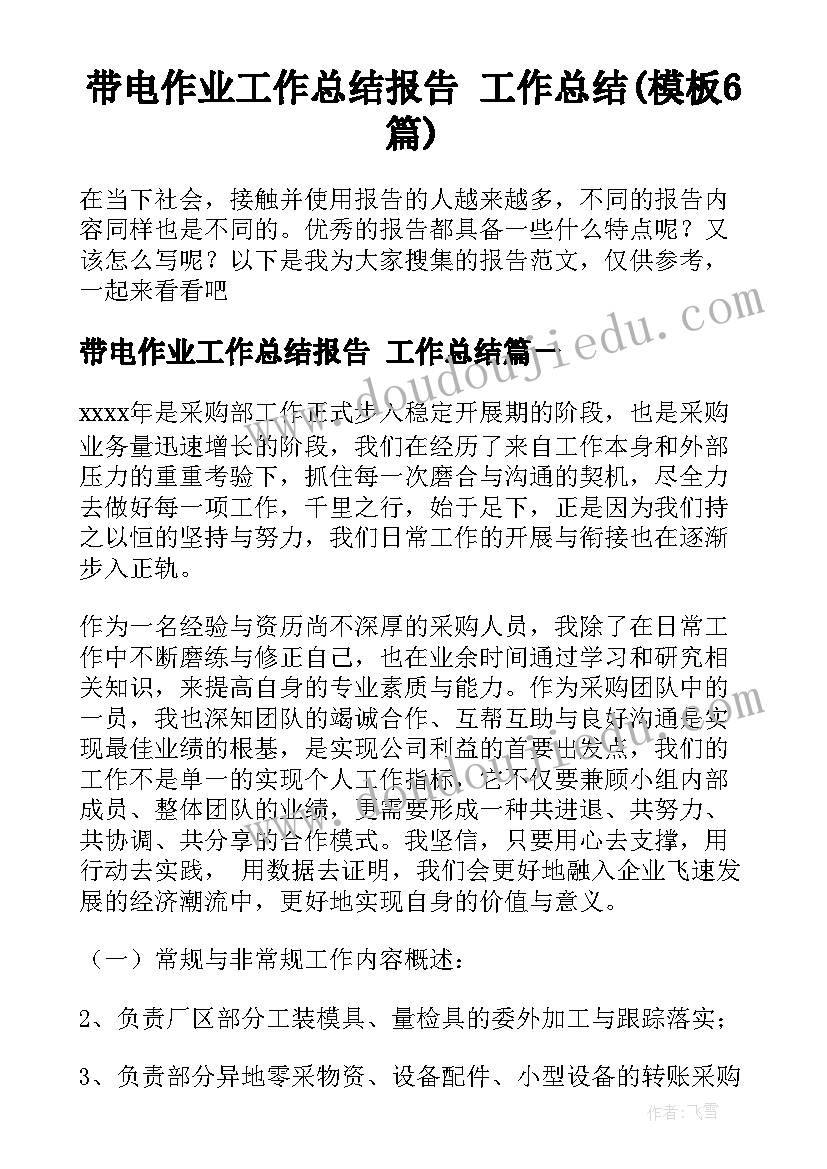 带电作业工作总结报告 工作总结(模板6篇)