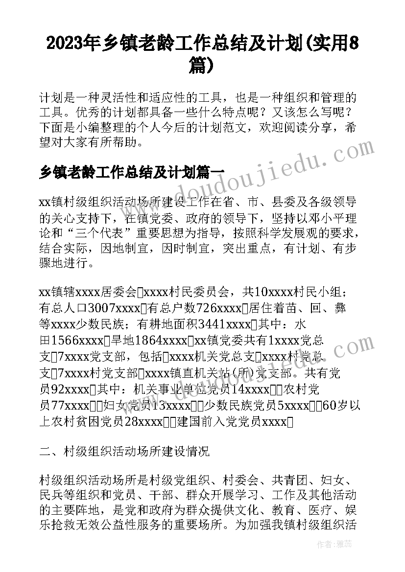 2023年乡镇老龄工作总结及计划(实用8篇)