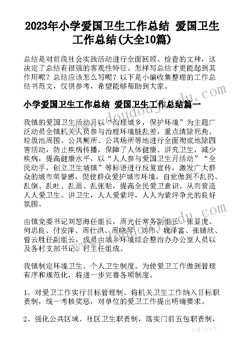 2023年小学爱国卫生工作总结 爱国卫生工作总结(大全10篇)