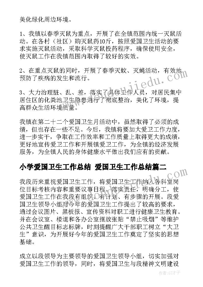 2023年小学爱国卫生工作总结 爱国卫生工作总结(大全10篇)