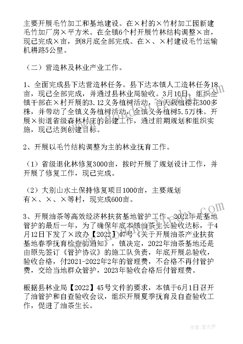 县级林长制工作要点 乡镇上半年林长制工作总结(大全5篇)