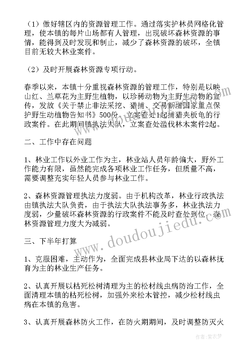 县级林长制工作要点 乡镇上半年林长制工作总结(大全5篇)