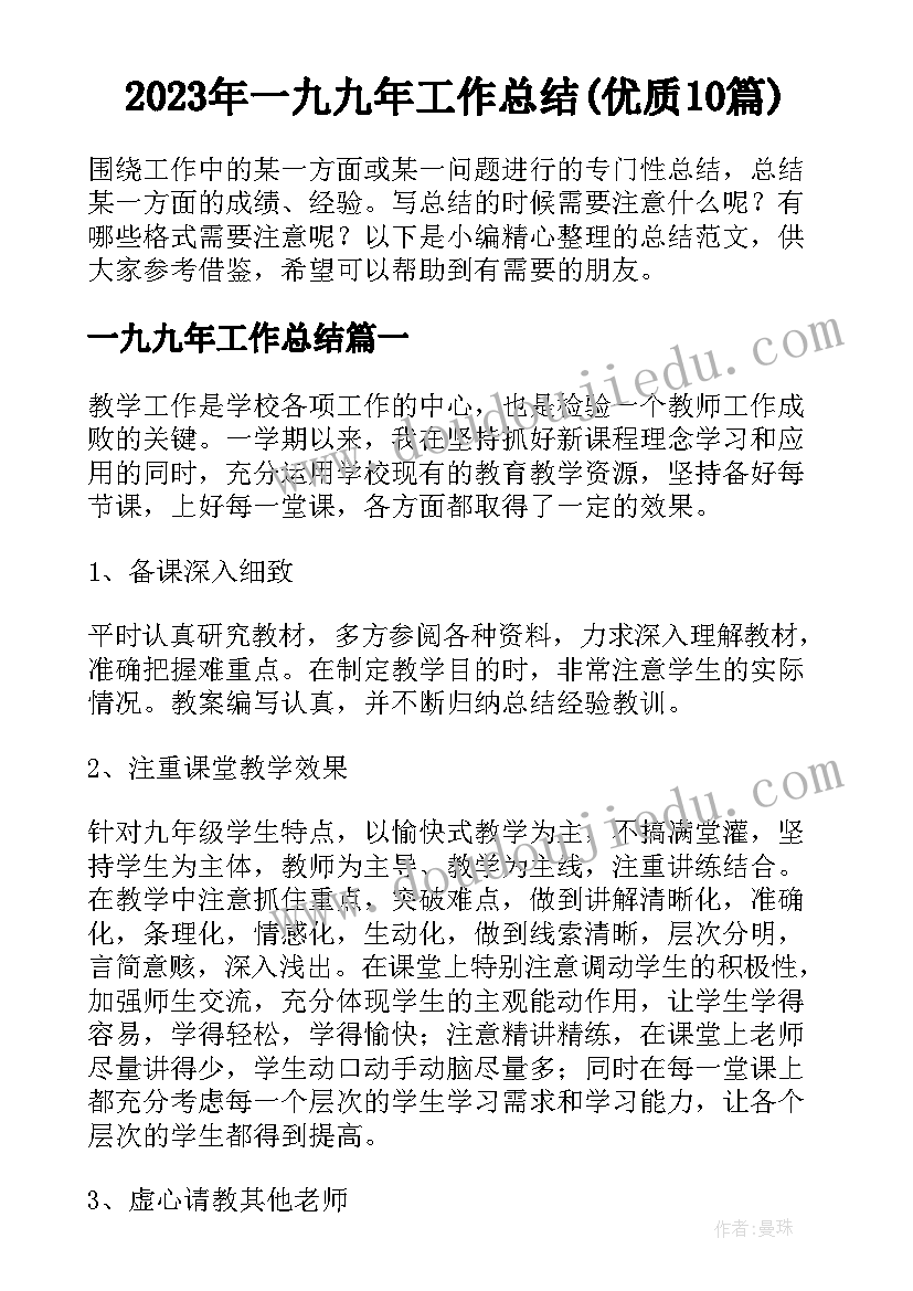 2023年一九九年工作总结(优质10篇)