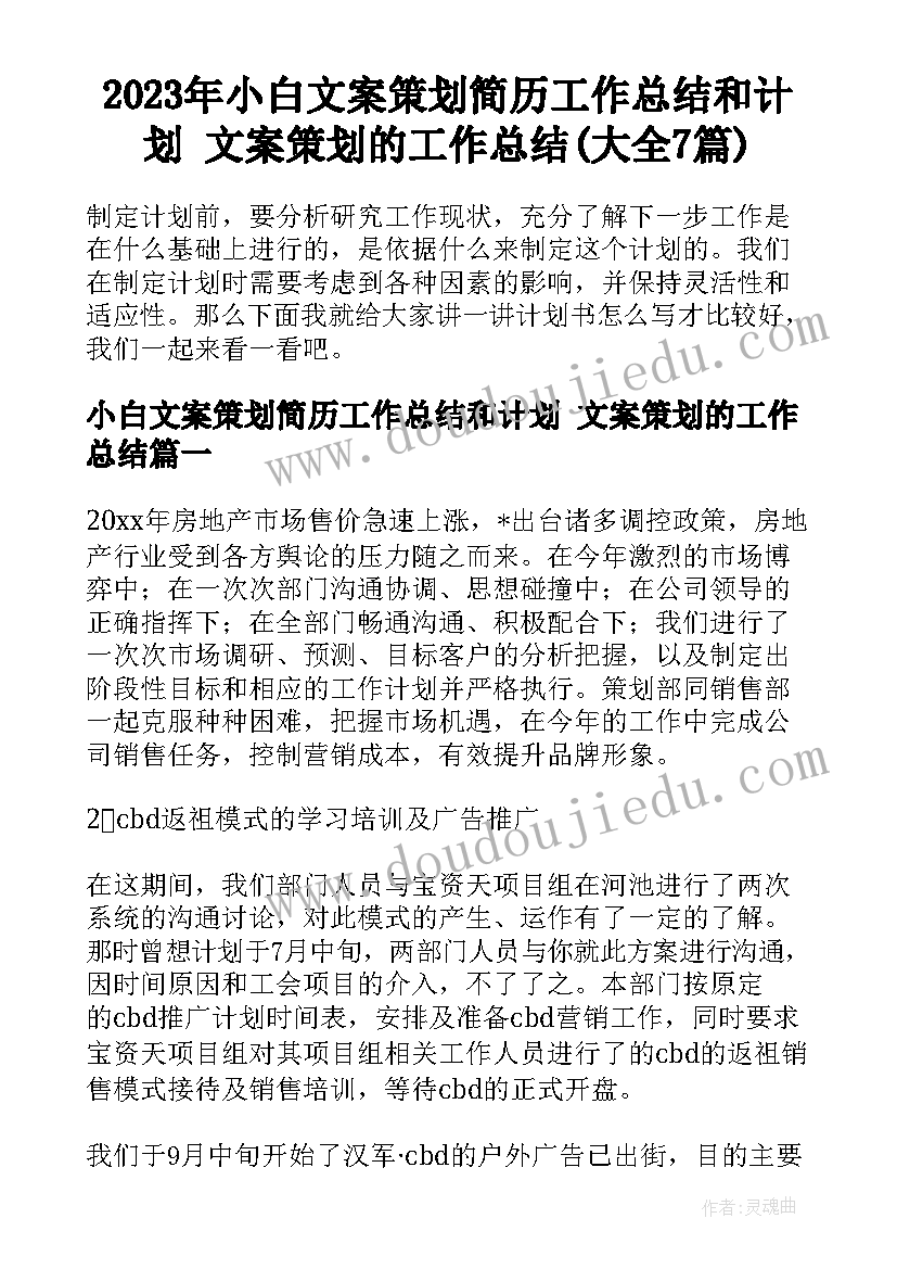 2023年小白文案策划简历工作总结和计划 文案策划的工作总结(大全7篇)