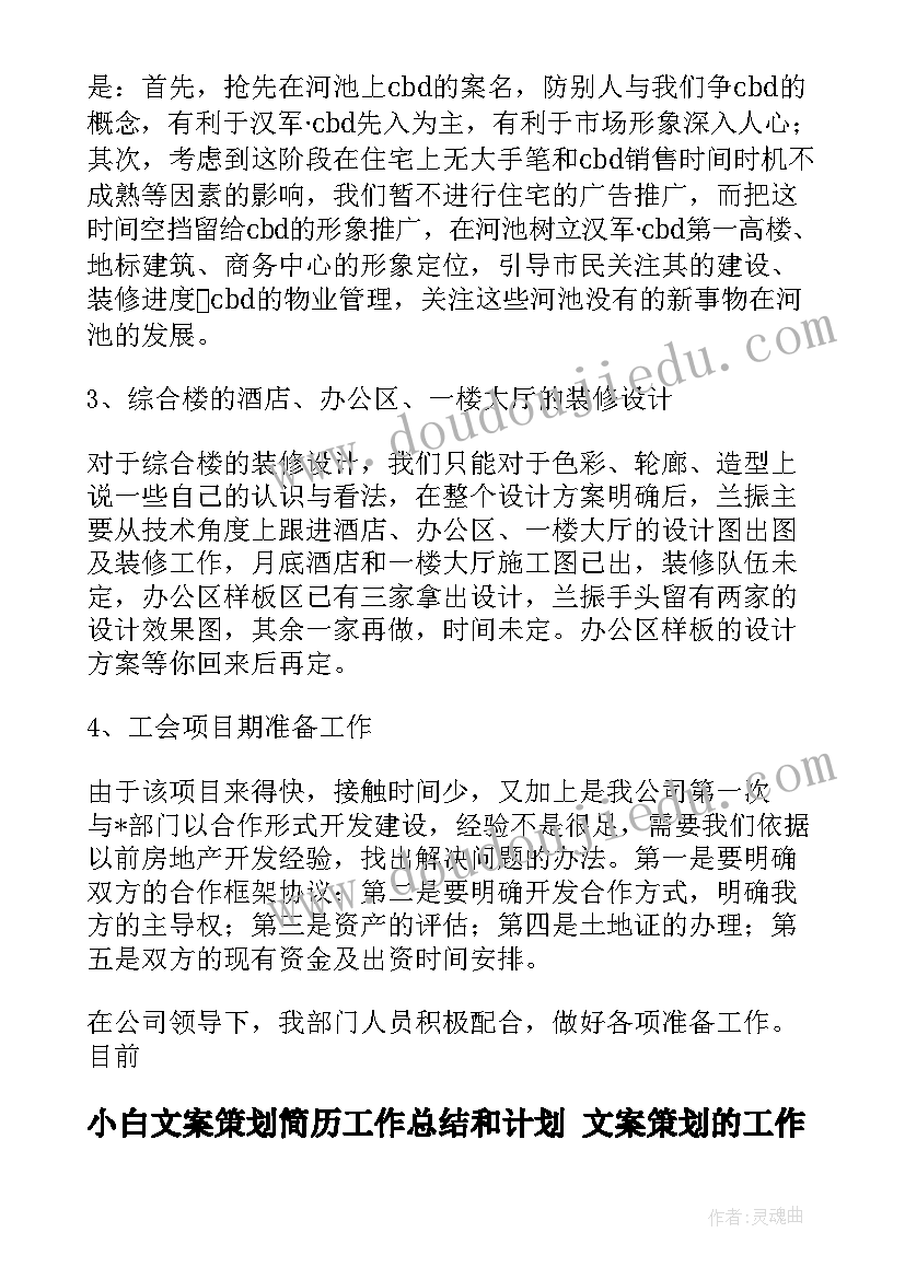 2023年小白文案策划简历工作总结和计划 文案策划的工作总结(大全7篇)