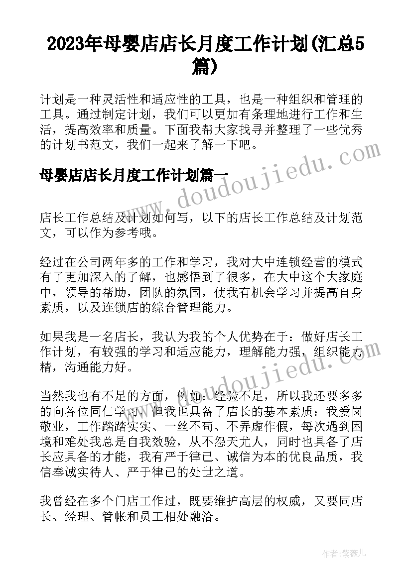 2023年母婴店店长月度工作计划(汇总5篇)