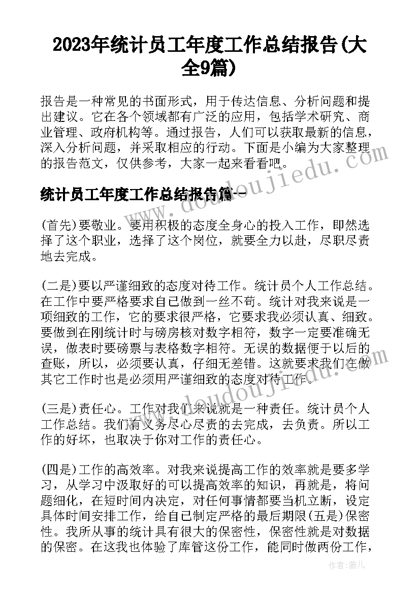 2023年统计员工年度工作总结报告(大全9篇)