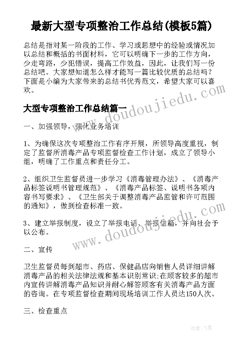 最新大型专项整治工作总结(模板5篇)