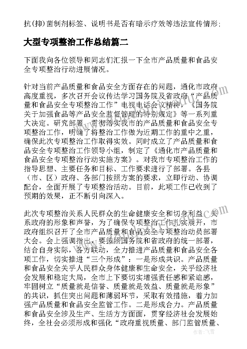 最新大型专项整治工作总结(模板5篇)