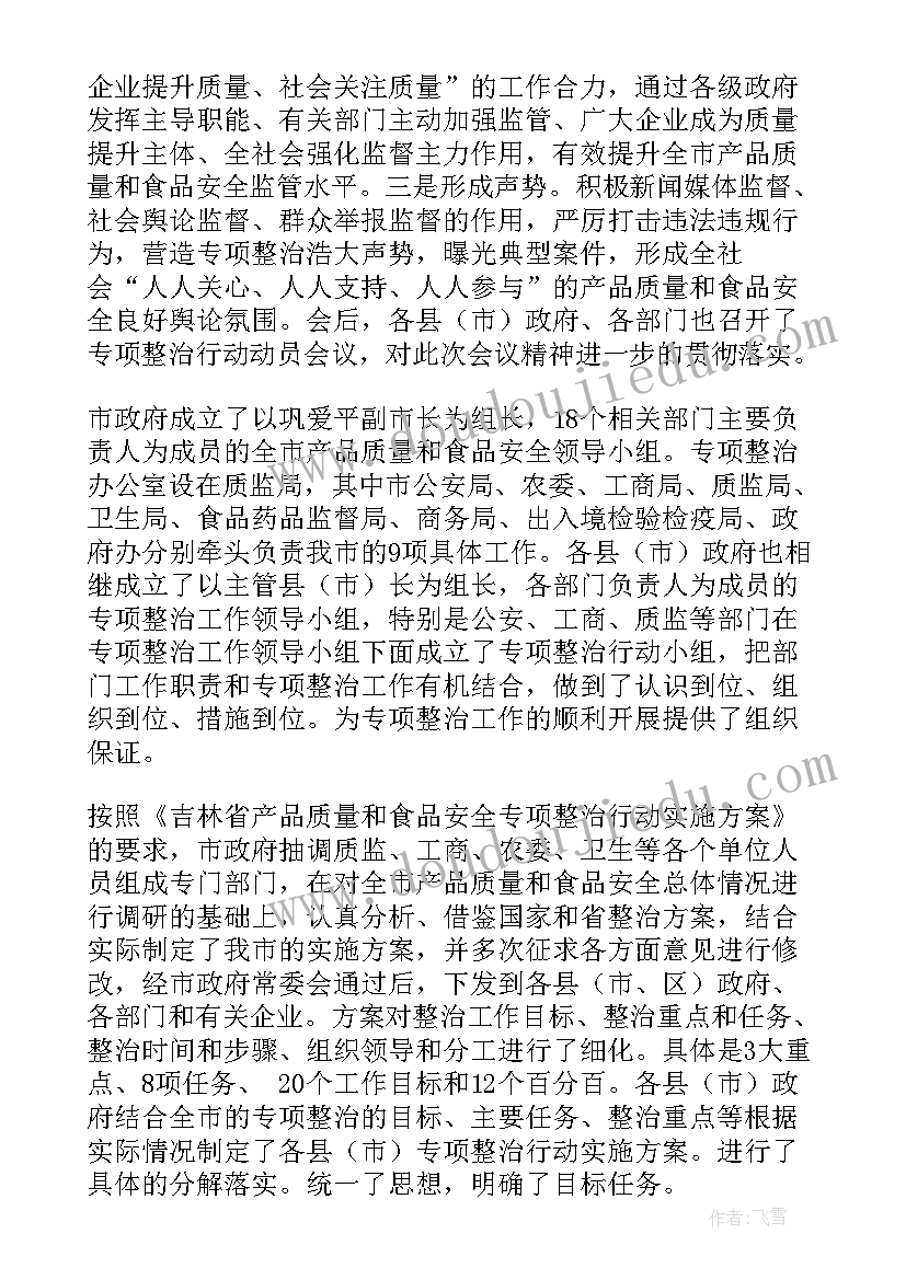 最新大型专项整治工作总结(模板5篇)